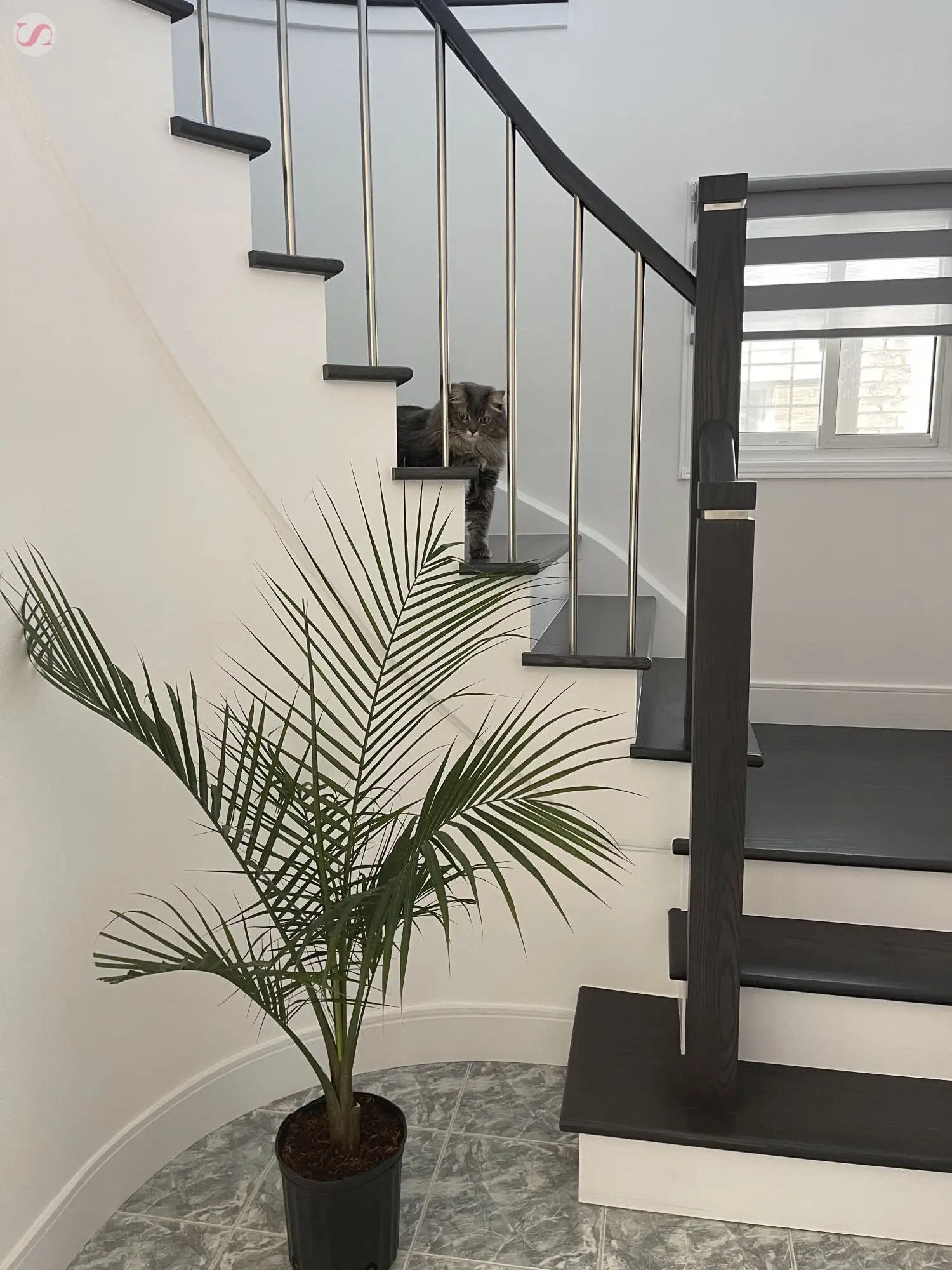 Staircase renovation Richmond Hill